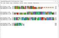 Screenshot of actual sequence length.png